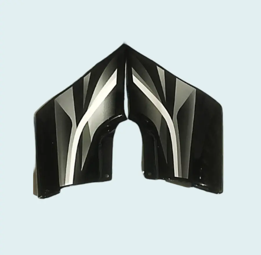 Side panel FIT FOR PASSION PRO T4 (9)