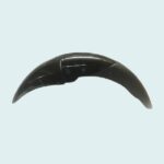 FRONT FENDER FIT FOR PULSAR DTSI